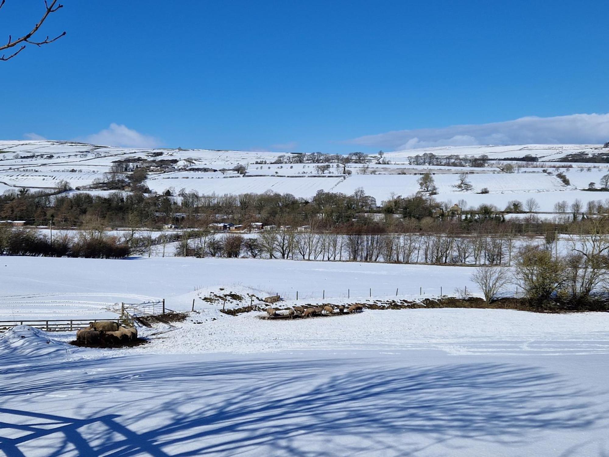 Villa The Den, Coves House Wolsingham Exterior foto